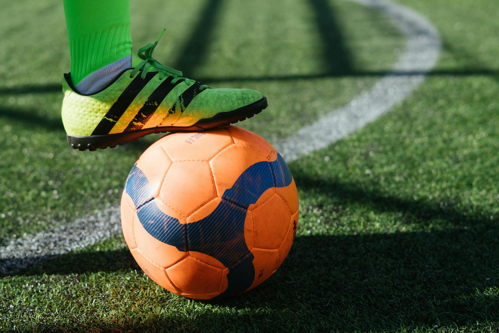 杏彩体育 · 绿茵场